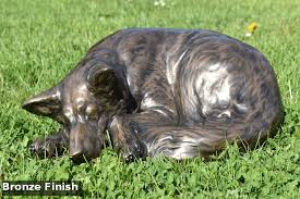 German Shepherd Alsatian Dog Ashes