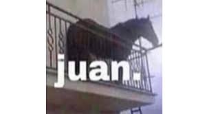 Apr 28, 2021 · comedian juan joya borja, popularly known as 'el risitas,' died in seville, spain. Juan The Horse Memes Juan El Caballo Stayhipp