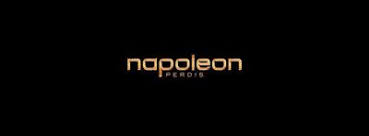 napoleon perdis makeup services