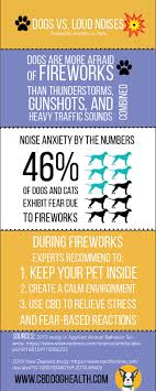 soothing pet anxiety during fireworks