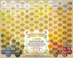 Spring Nectar Pollen Chart