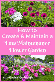 low maintenance flower garden