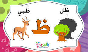 بالعربي نتعلم