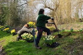Gardening Courses For Hobby Gardeners