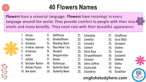 40 flowers names in english english
