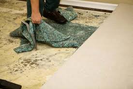 How To Dry Wet Carpet Healthy Carpets