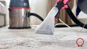 the 7 best carpet cleaning companies in