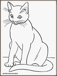 Download now gambar kucing mewarnai di sketsa untuk coloringpages asia. Pin Di Gambar Mewarnai