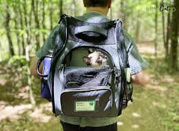 the cat backpack carrier ultimate guide