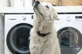 Wipe out the washer with a damp microfibre cloth when it's done draining making sure to get into all the nooks and crannies, around the rim of the basin, the lid and in any detergent or softener dispensers. How To Remove Pet Hair Pet Hair Removal Tips