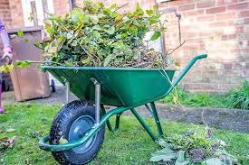 10 spring gardening jobs to do now o