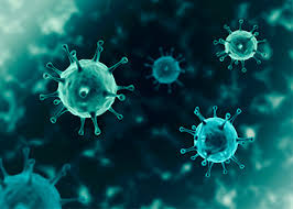 兵庫県立大学における新型コロナウイルス関連研究の実施について| 新着情報（お知らせ） | 兵庫県立大学