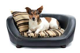how to clean dog bed stuffing