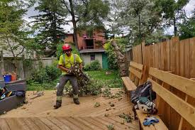 Rhs wisley in th uk do a one year special option certificate and you get qualifications but also practical training and it's open to international students too. Arborist Ground Worker Training Program Skillsadvance Ontario