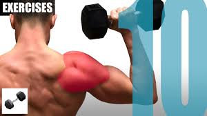 10 shoulder exercises you can do with