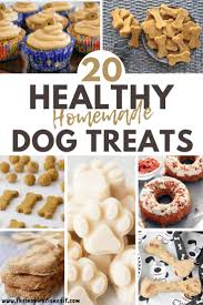 20 healthy homemade dog treats your dog