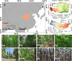 gross rainfall parioning