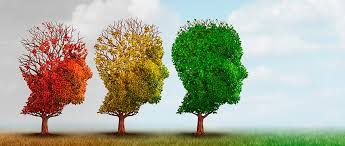 Cómo mejorar la calidad de vida de los enfermos de Alzheimer | Orliman