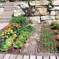 Homemade Organic Garden Vegetable Patch