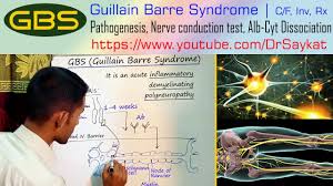 Yuki n., kokubun n., kuwabara s. Guillain Barre Syndrome Gbs Pathogenesis C F Investigations Treatment Dr Saykat Youtube