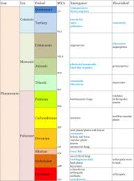 Phylum Comparison Chart Key Phylum Chordata Comparison Chart