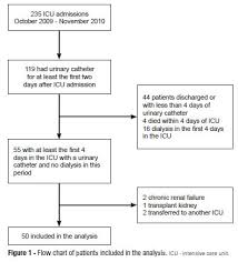 Urinary Electrolyte Monitoring In Critically Ill Patients A