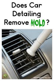 how do you get rid of mold in a car