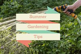 Summer Gardening Tips For North Central