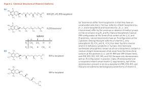 Vitamin E Linus Pauling Institute Oregon State University