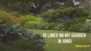 My Garden Essay 10 Lines In Hindi And