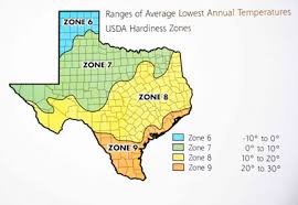 1990 hardiness zone map texas neil