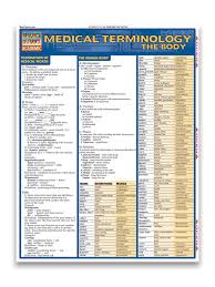 Medical Terminology The Basics University Store