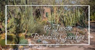 the tucson botanical gardens