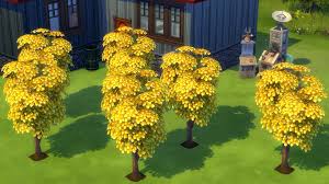 Money Tree Challenge Sims 4