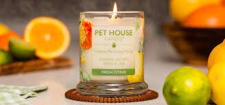 On some occasions, we earn revenue if you click the links and buy the products. Pet House Candles By One Fur All