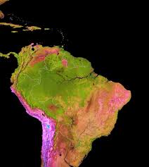 Fifty seven percent of all tropical rainforests are found in latin america. Mapping The Amazon