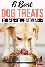 best dog treats for sensitive stomachs
