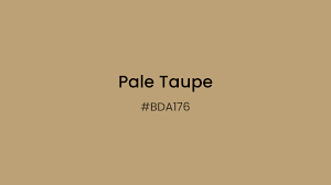 BDA176 Pale Taupe | Dopely Colors
