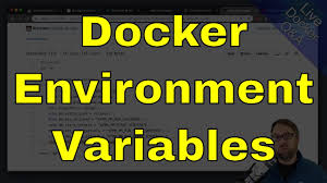 docker environment configs variables