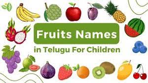 fruits names in telugu for children