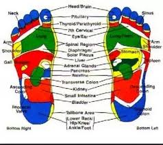Is There A Scientific Truth Behind Our Feet Having Nerves