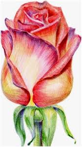 free colored pencil drawing lessons and