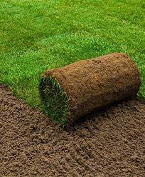 Order in advance, and have your grass available for pick up at our partner location with the grass outlet at 10624 fm 620, austin tx 78726. Lawn Grass Rolls Carpet Grass Rolls Artificial Grass Rolls