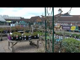 notcutts garden centre solihull you