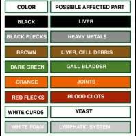 Ion Cleanse Foot Bath Color Chart What Does The Color