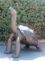 Giant Tortoise Bronzeman