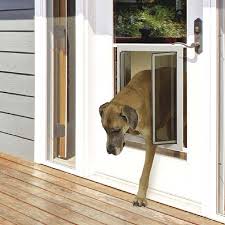 High Quality Dog Door Installation