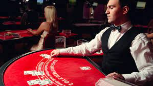 Feel Like You Play in a Real Live Casino | Blog Article | LiveCasino24.com