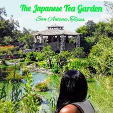 visiting the anese tea garden san