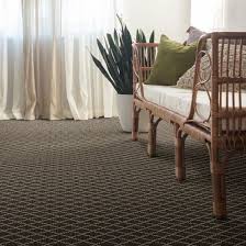 new stainmaster carpet from the